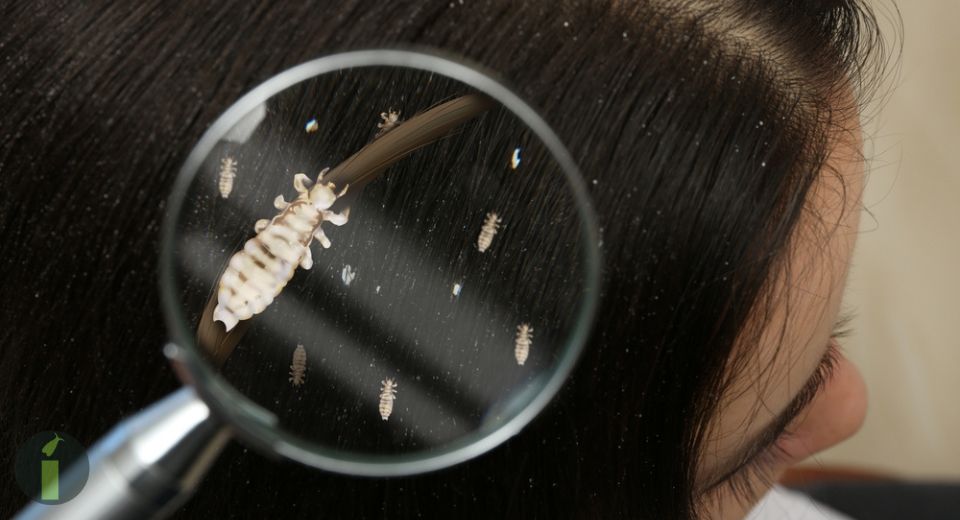 a magnifying glass on a girl head