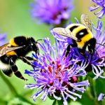 Do Bumble Bees Sting? Buzzing Into The Facts